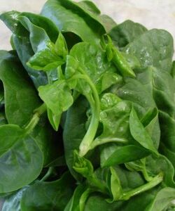 Los siete alimentos más alcalinizantes