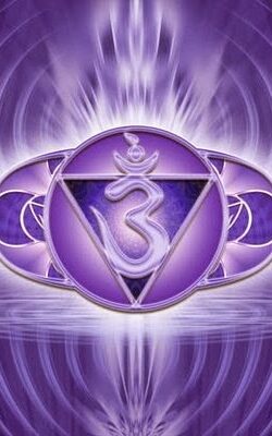 SEXTO CHAKRA